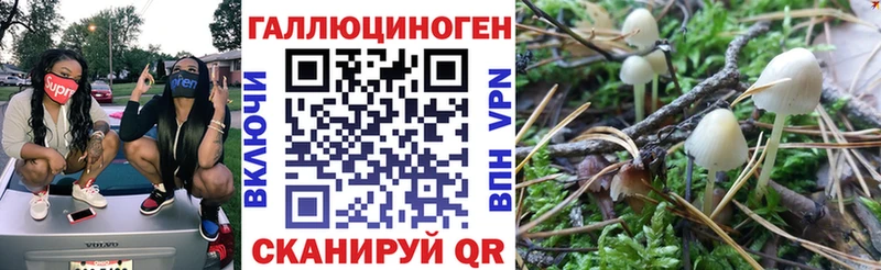 Псилоцибиновые грибы MAGIC MUSHROOMS  мега как войти  Тамбов 