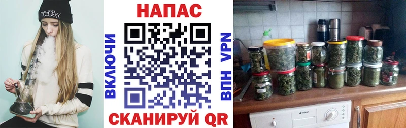 наркотики  Тамбов  Конопля ГИДРОПОН 